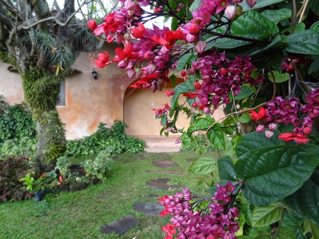 Valle Primavera Boquete Exterior foto